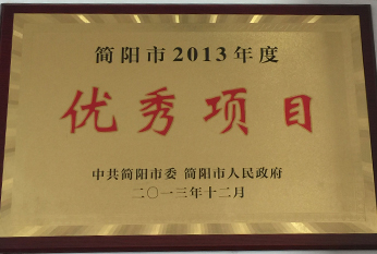 2013年優秀項目